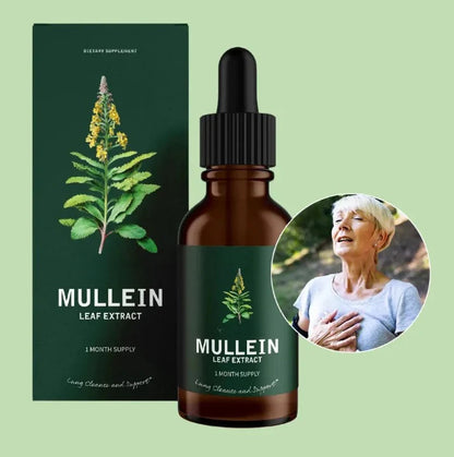 Botanical Mullein & Chlorophyll Wellness Tincture