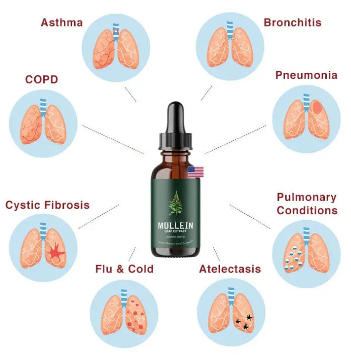 Botanical Mullein & Chlorophyll Wellness Tincture