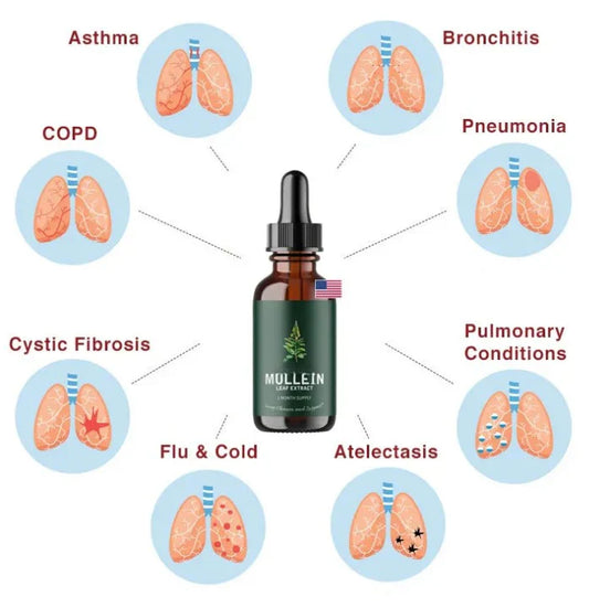 Botanical Mullein & Chlorophyll Wellness Tincture
