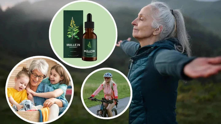 Botanical Mullein & Chlorophyll Wellness Tincture