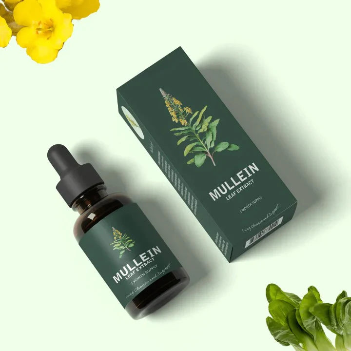 Botanical Mullein & Chlorophyll Wellness Tincture