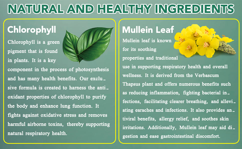 Botanical Mullein & Chlorophyll Wellness Tincture