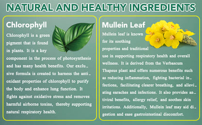 Botanical Mullein & Chlorophyll Wellness Tincture