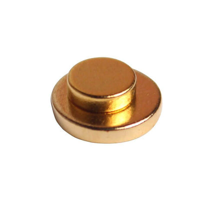 Acupressure ear magnets for daily wellness support
